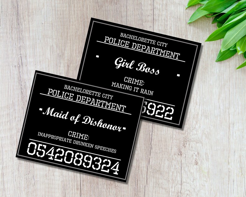 Bachelorette Party Mugshots | Bachelorette Party Game | Bridal Party ...