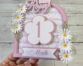 Baby Monthly Milestone Cake Topper, Photo Prop