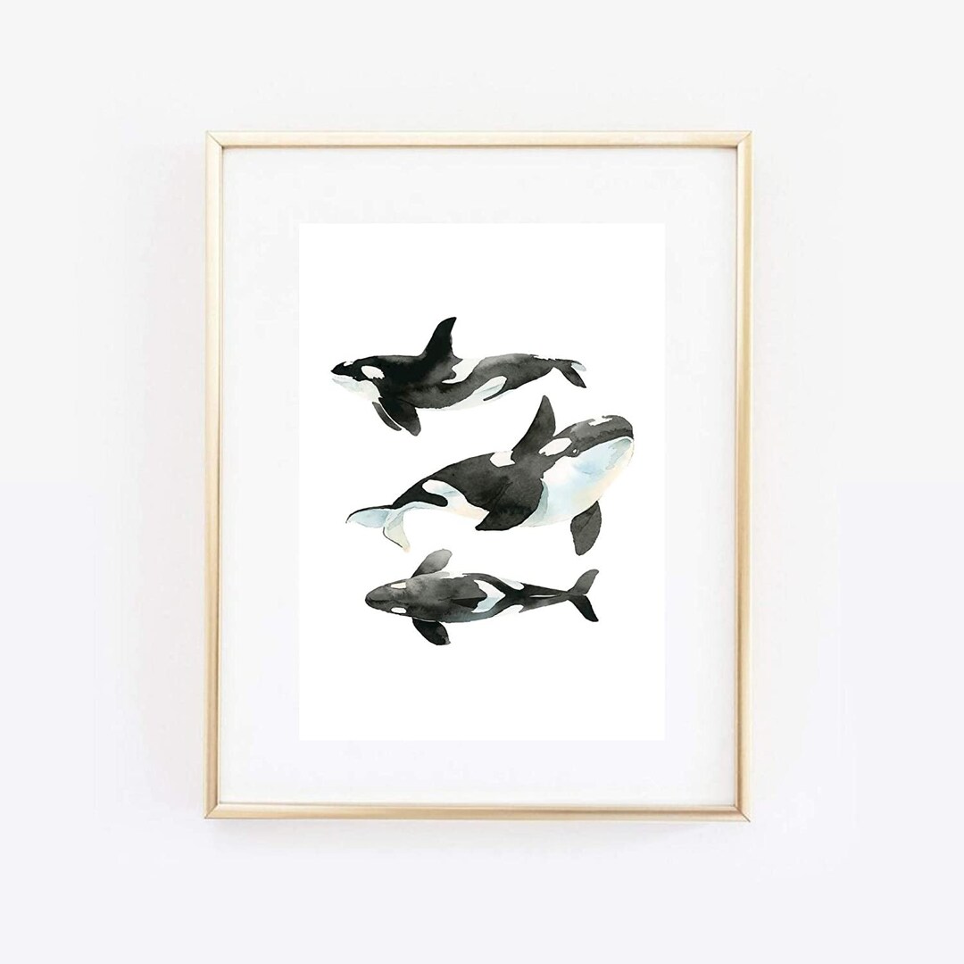 Din A4 Kunstdruck Ungerahmt – Hornfisch Hecht Retro Zeichnung | Maritimes Poster Für Badezimmer & Wohnung