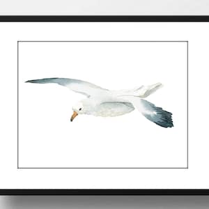 Din A4 art print without frame - Flying Seagull - Bird Maritime Seagull Coast Bathroom Watercolor Landscape Format Picture Poster