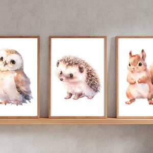 Din A4 Kunstdruck 3er Set ohne Rahmen - Süße Waldtiere - Igel Eichhörnchen Eule - Kinderzimmer Babyzimmer Nursery Baby - Druck Poster Bild