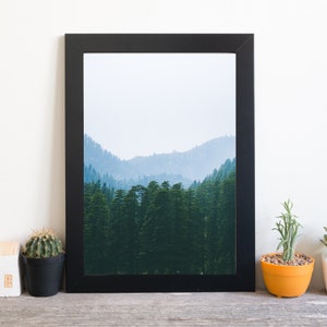Din A4 Kunstdruck ohne Rahmen - Wald - Wälder Tannenwald Landschaft Fotokunst Natur Druck Poster Bild
