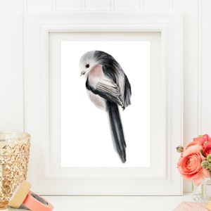 Din A4 Kunstdruck ohne Rahmen - Süße Meise - Schwanzmeise - Vogel Natur Aquarell Druck Poster Bild