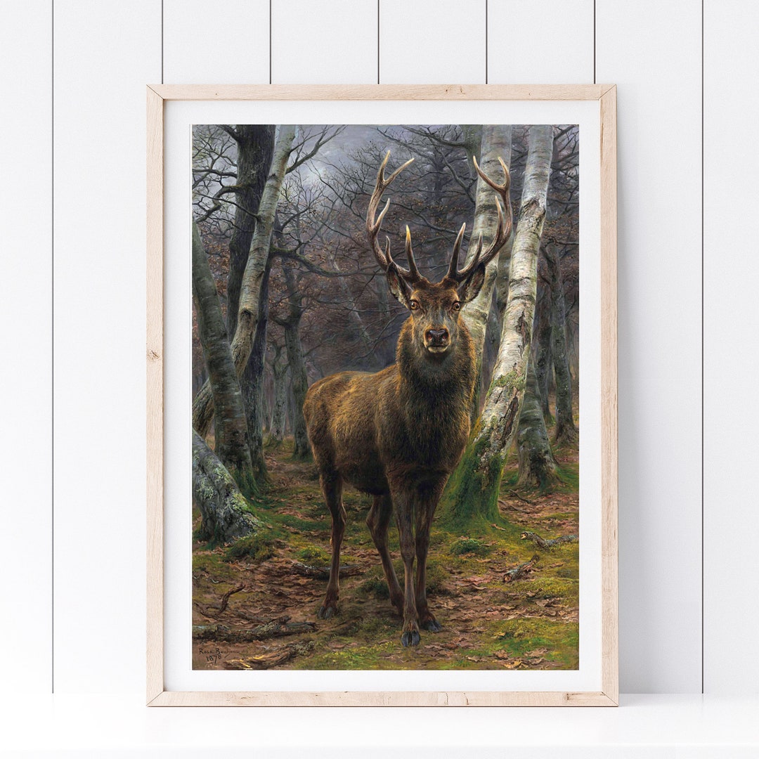 Din A4 Art Print Without Frame Red Deer Deer Red Deer Etsy