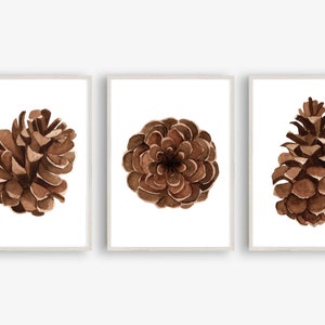 Stampa artistica Din A4 senza cornice set di 3 pigne - pigne di abete rosso - pigne di abete rosso acquerello autunno inverno poster di Natale