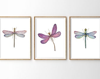Din A4 Kunstdruck 3-teilig ungerahmt Libelle Libellen Dragonfly Aquarell Bild Poster Geschenk