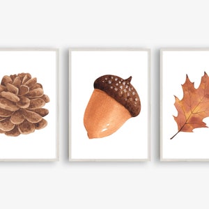 Din A4 Kunstdruck ohne Rahmen 3er-Set - Tannenzapfen Eichel Blatt Blätter Herbst Laub - Deko Poster Bild Druck
