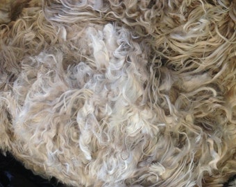 White Cria fleece 100g - Natural SURI alpaca fleece - just lovely