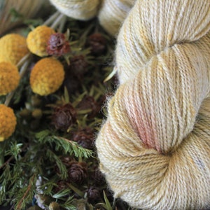30% Suri Alpaka / Huacaya Alpaka - 4PLY (Fingergewicht) - 100g (3,5 Unzen) Garn - handgefärbt