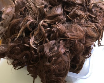 170-200mm length - Suri Alpaca locks - suitable for dolls hair - 100g (3.4oz) - DARK BROWN