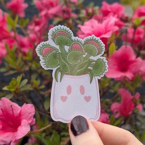 Puede incluir: Una pegatina con una planta de Venus atrapamoscas de dibujos animados en una maceta rosa con detalles en forma de corazón. La planta tiene hojas verdes y trampas con bordes rojos. La pegatina se sostiene frente a un fondo de flores rosas.