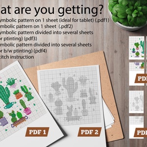 May include: A collection of cross-stitch patterns featuring cacti and succulents in various pots. The image includes PDF files labeled 1 through 4, with options for color and black-and-white printing. The text "What are you getting?" is at the top.