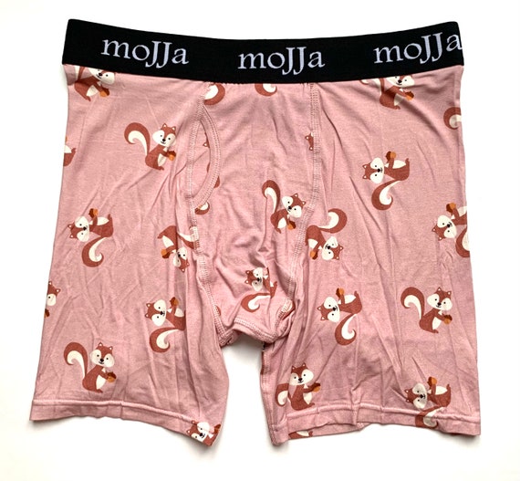 Men's Squirrel Boxer Briefs Modal Underwear Fun Gitch Groom Gifts Sweat  Proof Comfortable Undies Funky Gifts for Men Him -  Australia