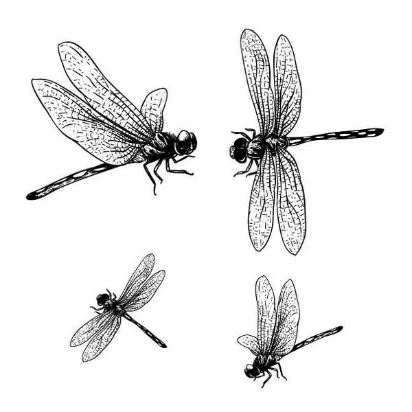 Dragonflies Silk Screen Stencil, DIY Silk Screen Printing, Fused Glass Stencil, Print on Polymer Clay