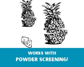 Pineapples Silk Screen Stencils, Screen Printing Supplies, Printmaking Graphic Designs on Ceramics, Glass, Fabric & Paper