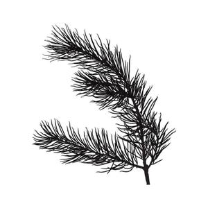 Pine Bough Silk Screen Stencil, Reusable Adhesive Transfer Stencils, Christmas Spruce Tree DIY Screen Print, Fused Glass, Wood & Ceramics