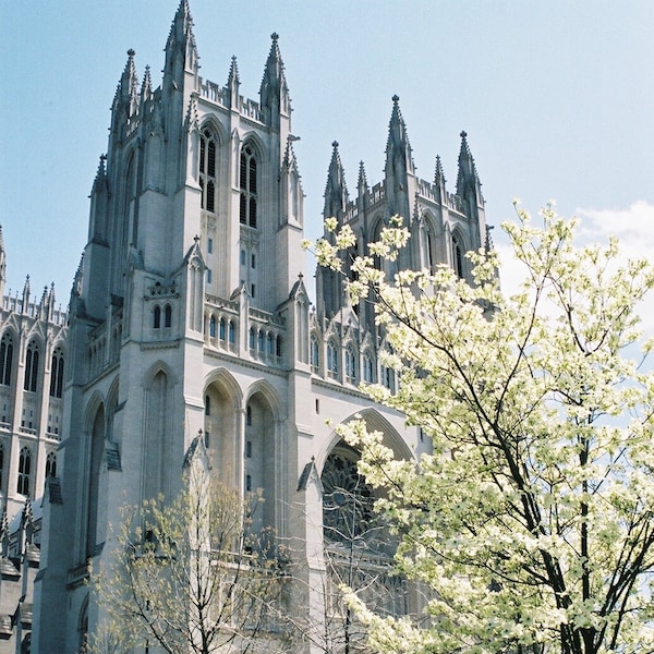 National Cathedral Washington DC Phone Home Lock Screen Wallpaper Themes Digital Download.