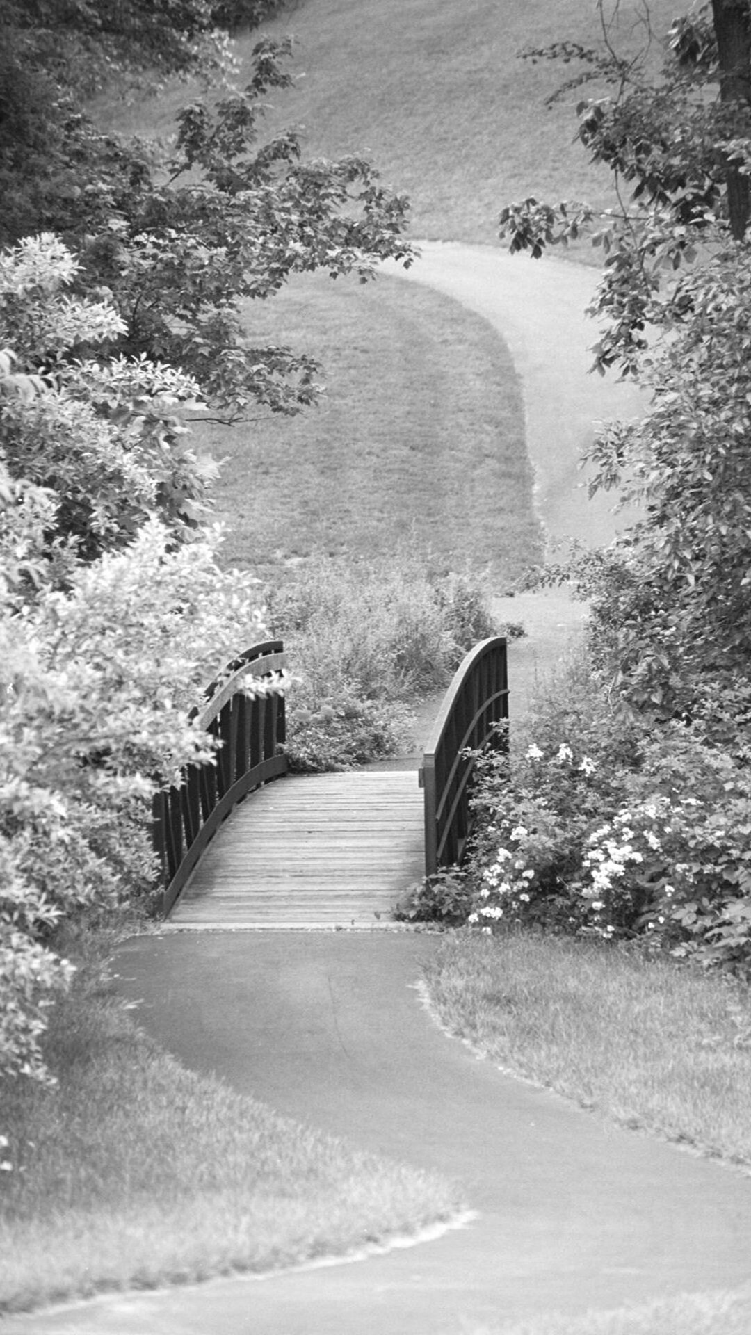 Footbridge In Fairfax VA Phone Home Lock Screen Wallpaper Themes footbridge-in-fairfax-va-phone-home-lock-screen-wallpaper-themes