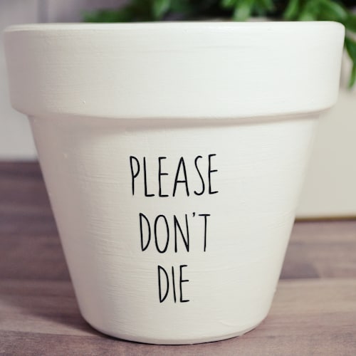 Please Don't Die Planter Pot Etsy
