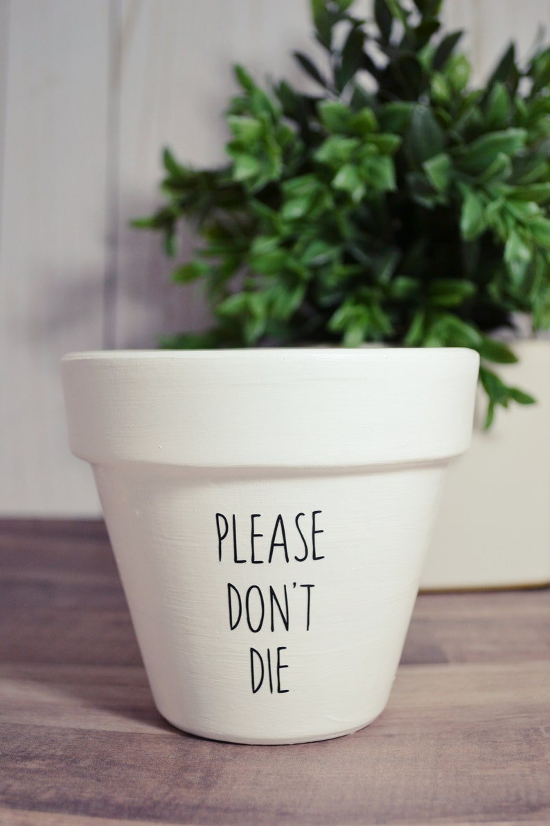 Please Don't Die Planter Pot Etsy