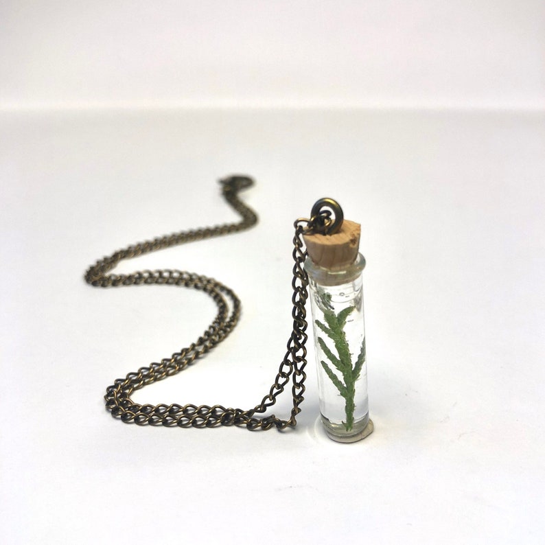 botanical necklace glass terrarium necklace real moss Resin bottle necklace Terrarium bottle necklace