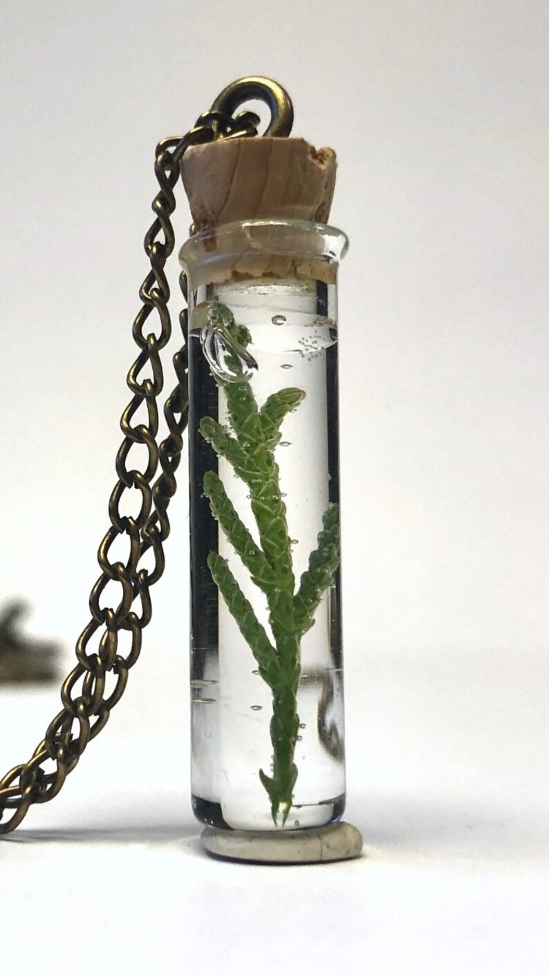 botanical necklace glass terrarium necklace real moss Resin bottle necklace Terrarium bottle necklace