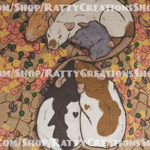 Cute Rodent Microfiber Glasses | Screen Cleaning Cloth