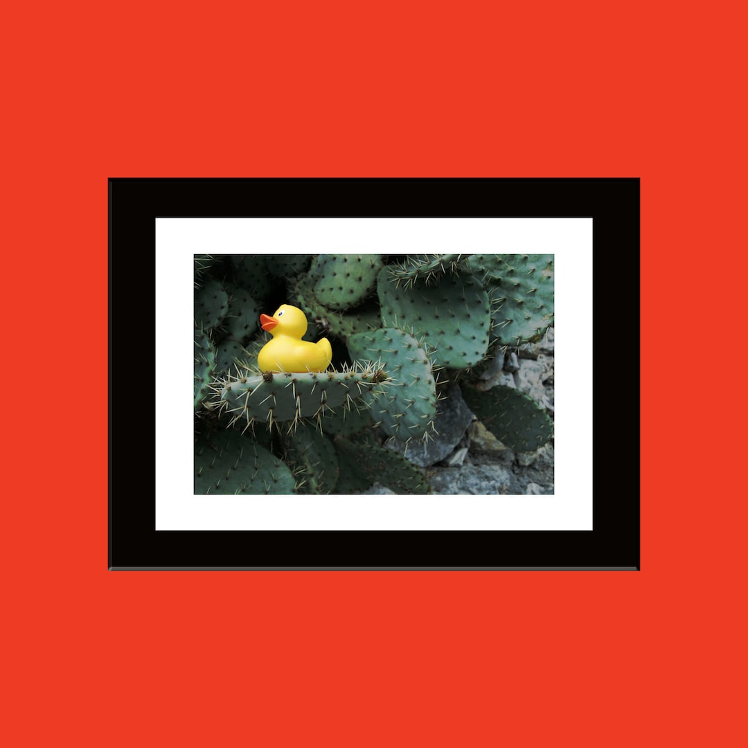 Numbered Photo Print Art Photo Colors Original Decoration It Etsy