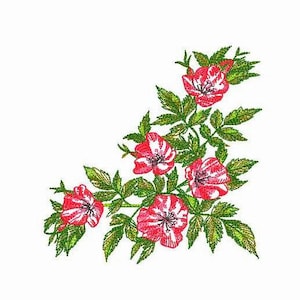 Design de bordado de máquina de canto de rosa mosqueta, design de bordado digital de flores de rosa mosqueta, arquivo de bordado de máquina de flores de rosa selvagem.