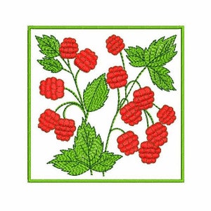 May include: A square embroidery design featuring a red raspberry bush with green leaves and red berries.