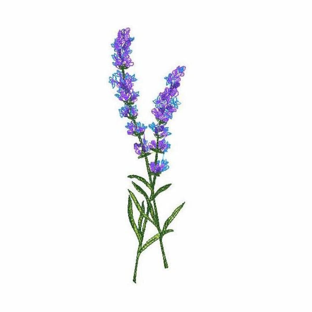 Lavender Machine Embroidery Design 5 SIZES Purple Lavender Etsy