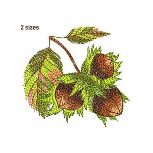 Puede incluir: Diseño bordado de avellanas con hojas verdes. Las avellanas son marrones y tienen una superficie texturizada. Las hojas son verdes y tienen un tono rosa claro.