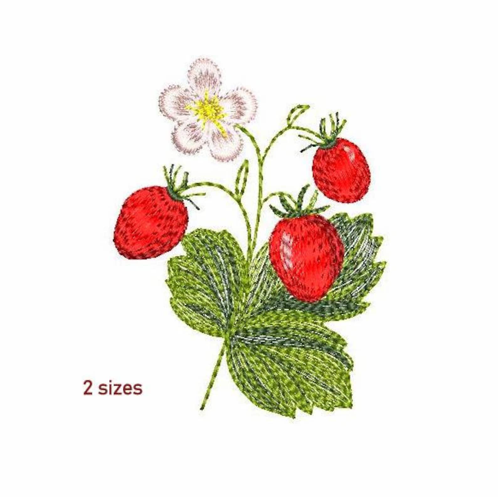 Wild Strawberry Machine Embroidery Design 2 SIZES Sketch Etsy