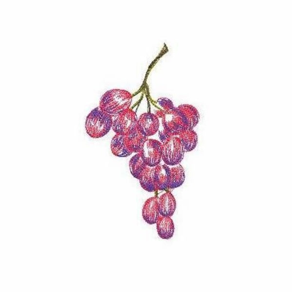 Grape Machine Embroidery Design 3 SIZES, Bunch of Grapes Digital Embroidery, Grape Berries Machine Embroidery File, Grape Branch Embroidery.