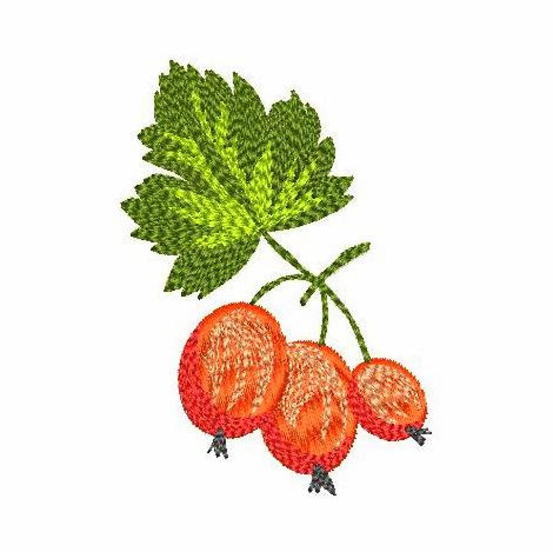 Gooseberry Design Gooseberry Machine Embroidery Design 4 Sizes, Cute Gooseberry Digital ...