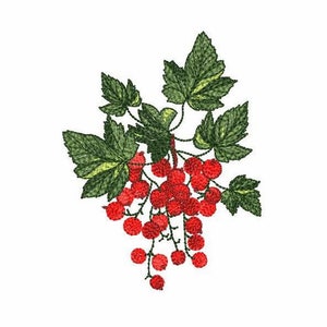 Johannisbeere Maschinenstickerei, Red Ribes Digitale Stickerei, Rote Beeren Maschinenstickerei, Johannisbeerzweig Stickdatei.