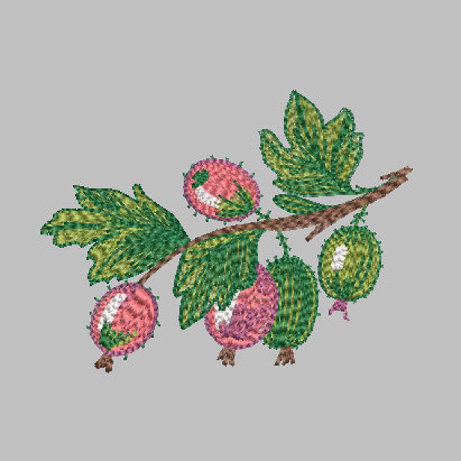 Gooseberry Design Gooseberry Machine Embroidery Design, Cute Gooseberry Digital ...