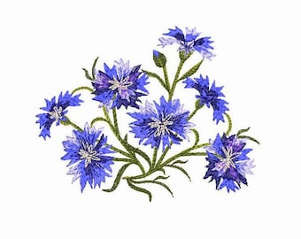 May include: A bouquet of blue and purple cornflowers with green stems and leaves.