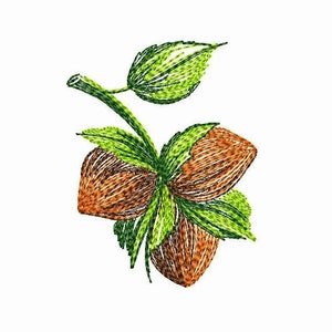 Hazelnuts Machine Embroidery Design 3 SIZES, Autumn Design, Fall Acorn Nut, Autumn Bunch of Hazelnuts Digital Design, Instant Download File.