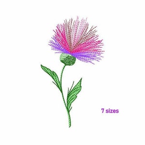 Thistle Machine Embroidery Design 7 SIZES, Thistle Flower Digital Embroidery, Purple Flower Machine Embroidery File, Thistle Embroidery File
