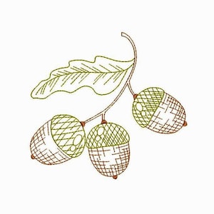 May include: A line drawing of an acorn branch with three acorns. The acorns are brown and have a detailed texture. The branch is green and has a leaf.