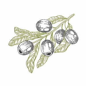 Olive Branch Machine Embroidery Design 4 SIZES, Sketch Machine Embroidery Black Olives Branch, Green Olives Design, Instant Download File.