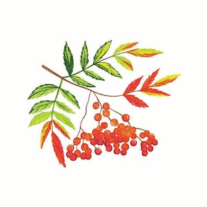 Rowan Branch Machine Embroidery Design, Sketch Machine Embroidery Rowanberry, Art  Embroidery Fall Berries, Instant Download Design.