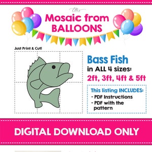 Balloon Fish 