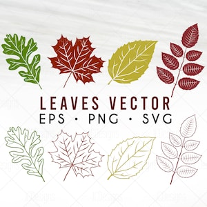 Leaves Vector Svg - Fallen Leaves svg - Fall Leaf Svg - Oak, Ash, Maple, Aspen Leaf Svg  - Svg Eps Png Vector Cutfile - Fall Digital Design