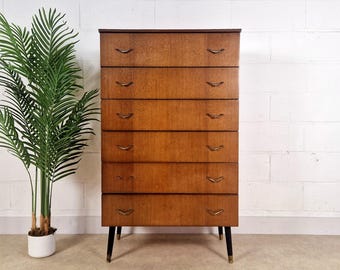 May include: A tall, mid-century modern dresser with six drawers. The wooden dresser has a warm, brown finish with brass-toned drawer pulls and black legs. A green plant in a white pot is to the left of the dresser.
