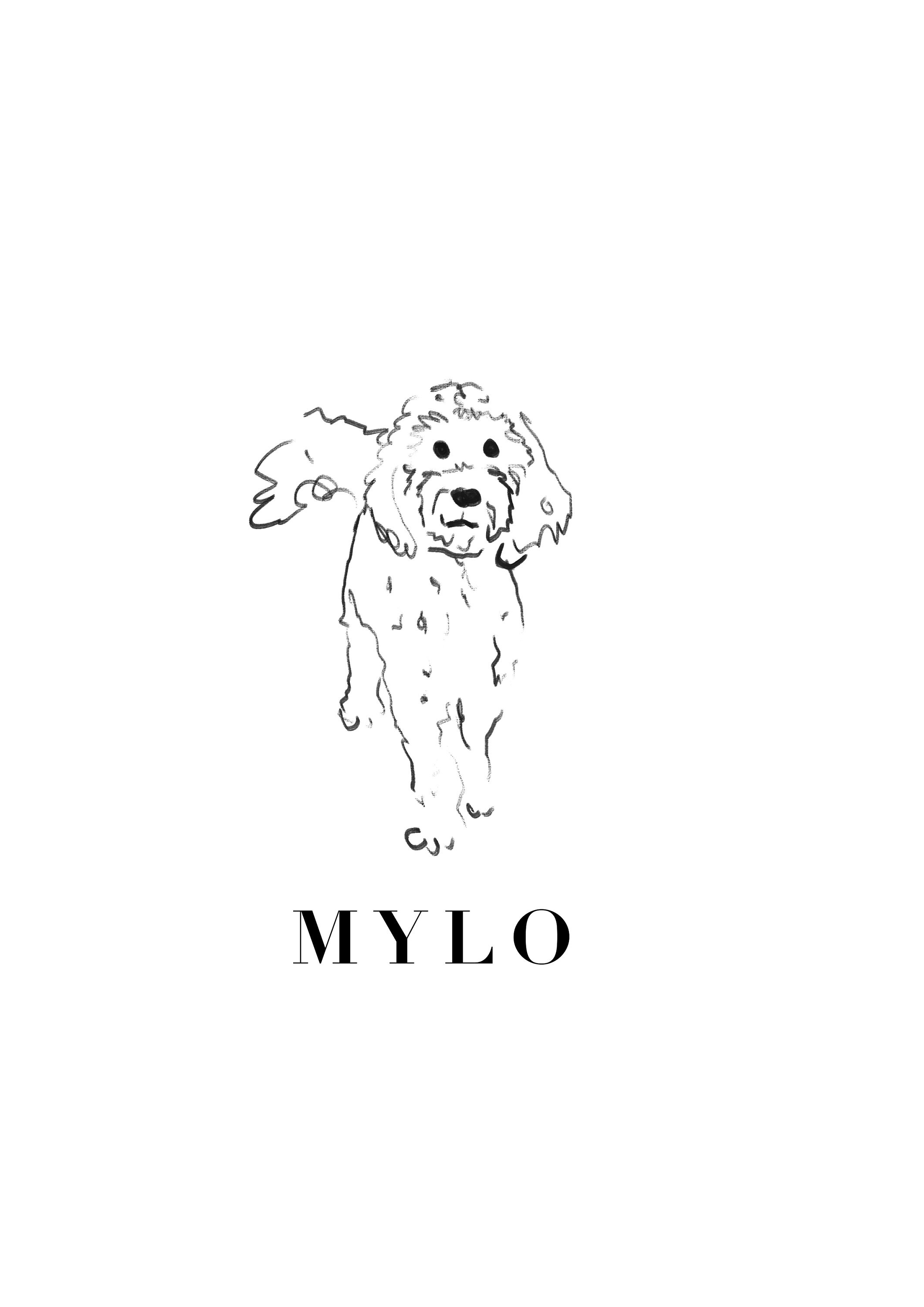 Custom Dog Poster Cockapoo Poster Cockapoo Print Original Cockapoo ...