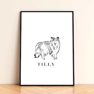 Personalisiertes Collie Hunde Poster - Benutzerdefinierter Name Illustrationsdruck, A4 / A3 Größen, ideales Geschenk für Collie-Liebhaber