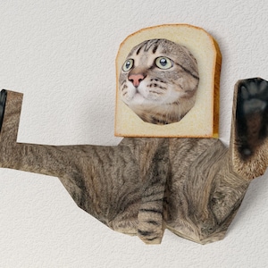 Pode incluir: Um gato tigrado com uma expressão de surpresa tem a cabeça presa em uma fatia de pão branco. O corpo do gato está esticado com as patas levantadas no ar.