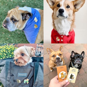 Puede incluir: Cuatro razas de perros diferentes que llevan ropa y sostienen pines de esmalte. Los pines representan diferentes razas de perros con tazas de caf&eacute;. Los pines est&aacute;n etiquetados como "Pitbull", "French Bulldog", "Maxpack" y "Corgi".